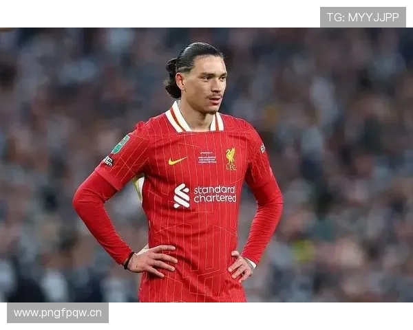 努涅斯本菲卡时期荣誉解析：成名基础是否奠定